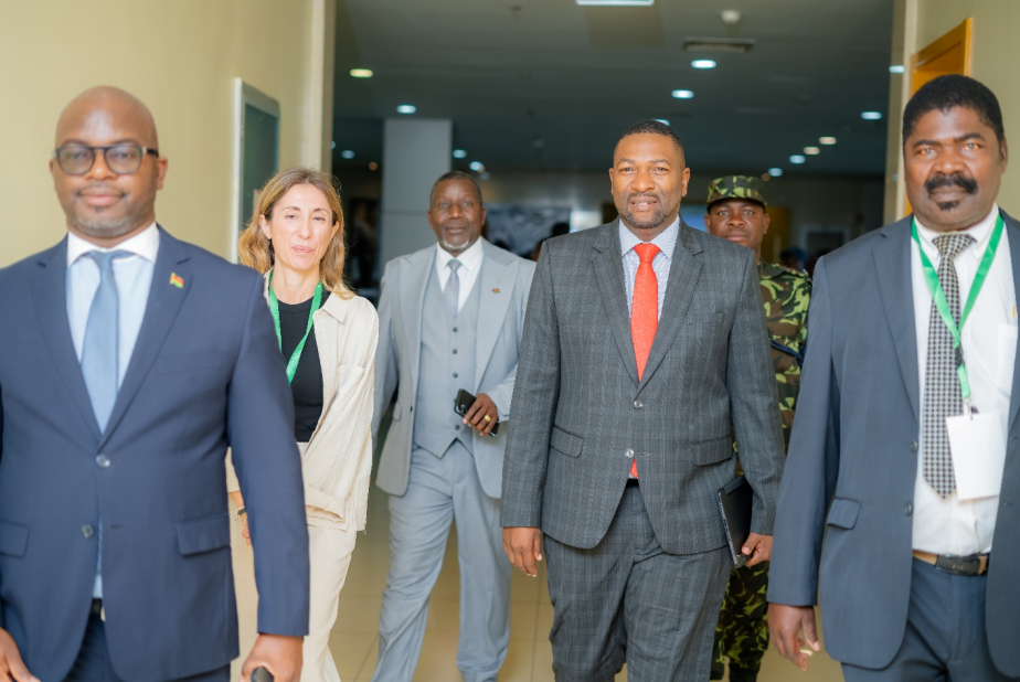 Malawi Hosts ITGA 2025 Africa Meeting, with Experts Pointing to Record Leaf Output and Rising Nicotine Product Growth in Africa