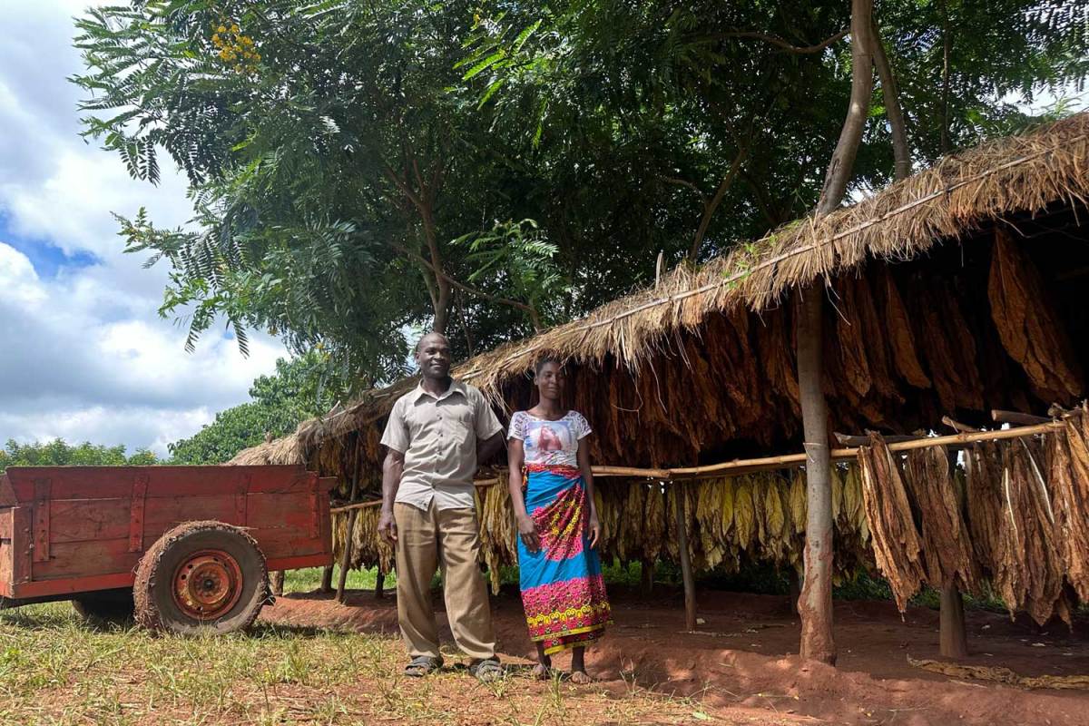 Special Report | ITGA Africa Meeting Puts Sustainability Center Stage amid Global Tobacco Challenges