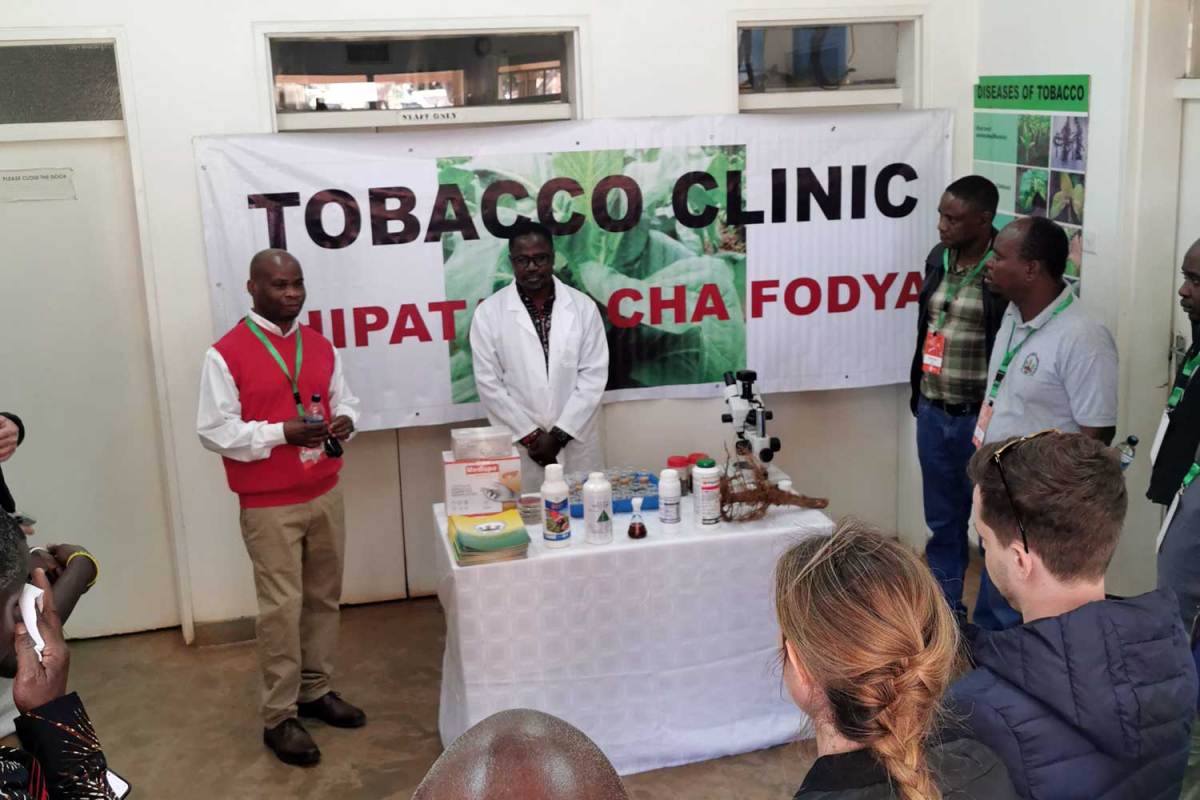 Special Report | ITGA Africa Meeting Puts Sustainability Center Stage amid Global Tobacco Challenges