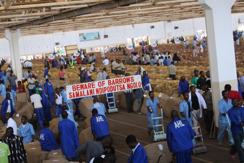 Special Report | ITGA Africa Meeting Puts Sustainability Center Stage amid Global Tobacco Challenges