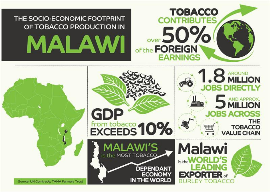 2Firsts Interview | Malawi’s Economic Engine: TAMA Farmers Trust CEO Reflects on the Current Marketing Season and Malawi’s Heavy Tobacco Dependence