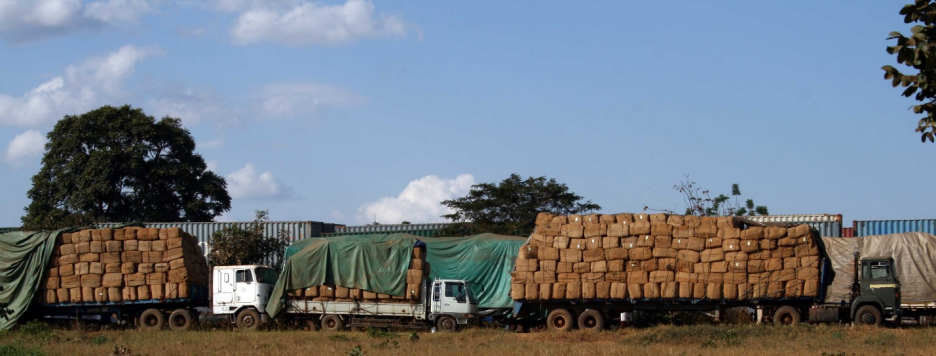 2Firsts Interview | Malawi’s Economic Engine: TAMA Farmers Trust CEO Reflects on the Current Marketing Season and Malawi’s Heavy Tobacco Dependence