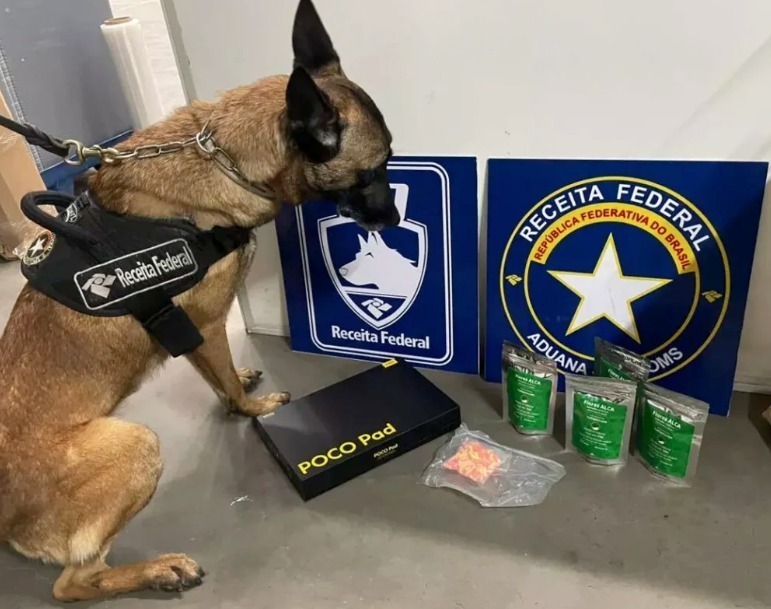 Brazilian Law Enforcement Seizes Large Haul of E-Cigarettes and Controlled Items, Total Value Around $18,000