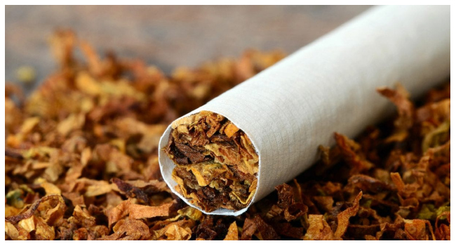 Nigerian Group Calls for 100% Increase in Tobacco Tax to Cut Health Costs