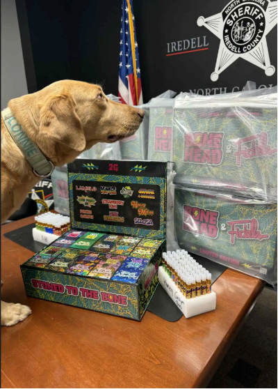 NC police intercept vehicle on highway, seize over 600 THC vape cartridges; driver charged with multiple felony drug offenses