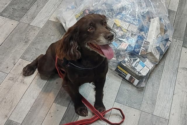 Police Action: Two Shops in Derbyshire Town Sealed for Selling Illegal Tobacco and E-Cigarettes