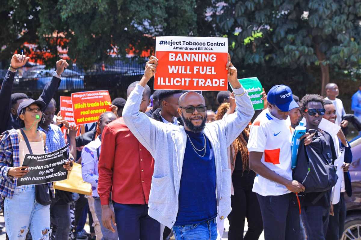 Kenyan Bar Owners and Retailers Petition Senate to Halt Debate on Tobacco Control (Amendment) Bill 2024, Citing Lack of Public Consultation and Potential Job Losses