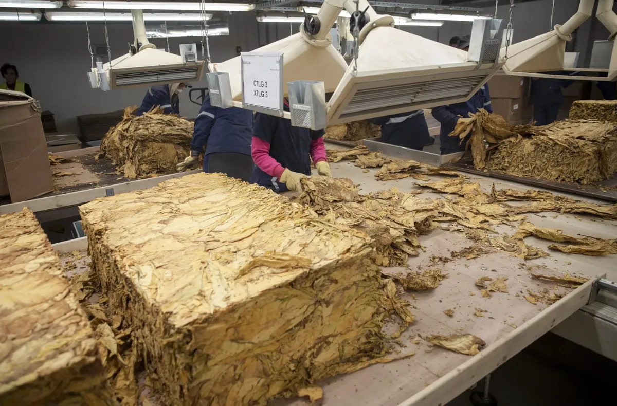 Company | Bloomberg: JTI Bets on Value Cigarettes Against the Tide, While Steadily Expanding Heated Tobacco Globally
