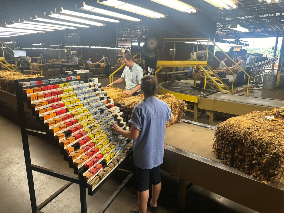 Global Tobacco Oversupply and Climate Risks Highlighted at ITGA Annual Meeting