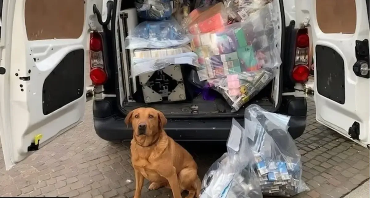 UK South East Seized 3.1M Illegal Vapes Since 2021 as Crackdown Intensifies