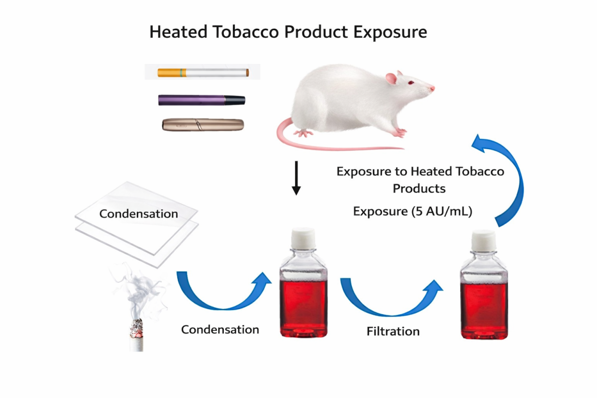 Patent Reveals China Tobacco Hubei Industrial Testing Animal Model for Heated Tobacco Safety Evaluation