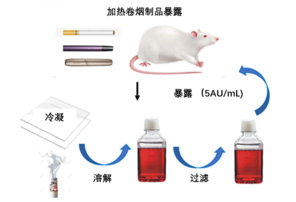专利显示:湖北中烟提出加热卷烟生殖发育安全性动物评价模型